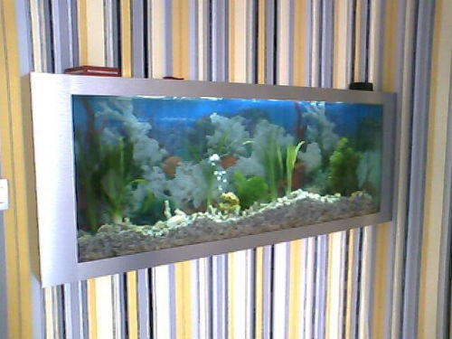 壁畫式生態魚缸006 ,重慶市藍海鷗生態魚缸廠